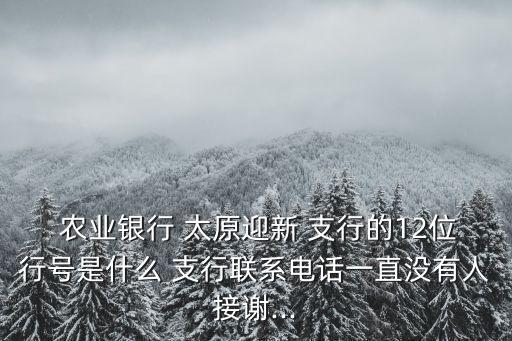  農業(yè)銀行 太原迎新 支行的12位行號是什么 支行聯系電話一直沒有人接謝...