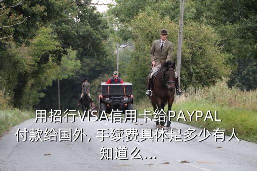 visa 網(wǎng)付歐元 手續(xù)費(fèi)多少