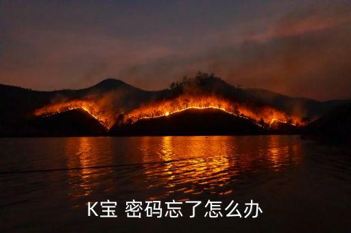 K寶 密碼忘了怎么辦