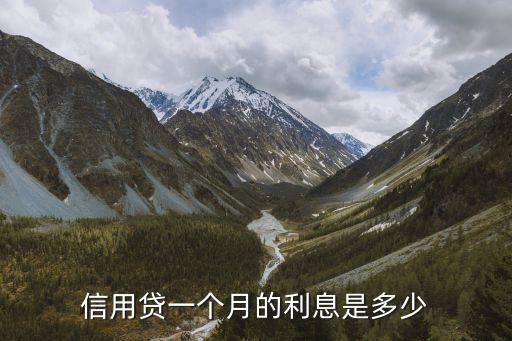 信用貸一個(gè)月的利息是多少