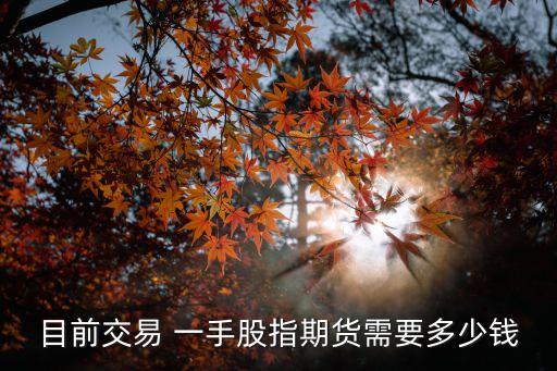 中證500期指一手多少錢
