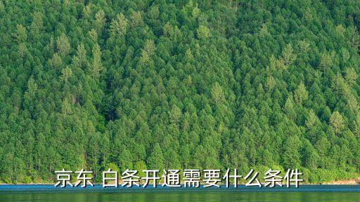 小白信用多少能開白條