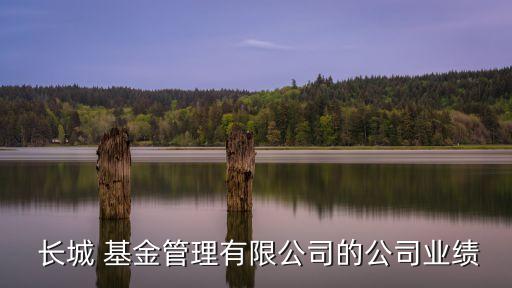  長(zhǎng)城 基金管理有限公司的公司業(yè)績(jī)