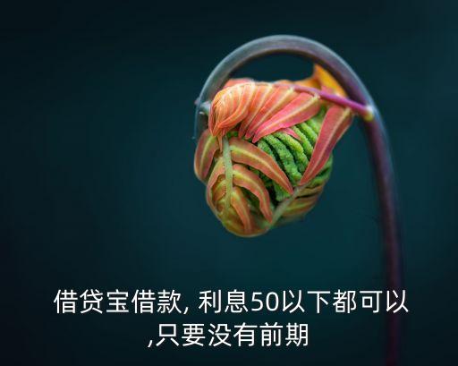 借貸寶一般多少利息