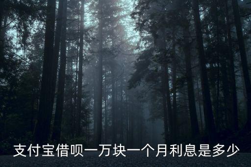 支付寶年息多少錢,一百萬(wàn)年息20是多少錢