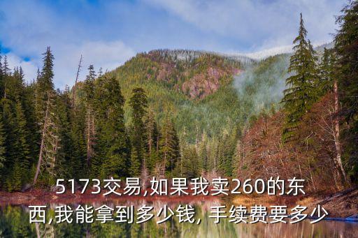 5173收多少手續(xù)費(fèi)