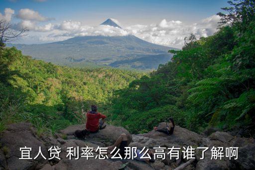  宜人貸 利率怎么那么高有誰了解啊