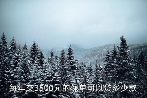 每年交3500元的保單可以貸多少款