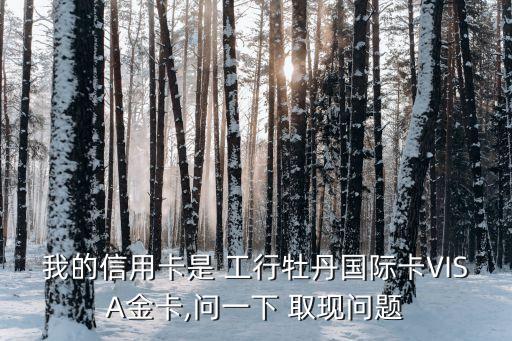 工行visa取現(xiàn)手續(xù)費(fèi)多少,工行星座visa卡境外消費(fèi)手續(xù)費(fèi)
