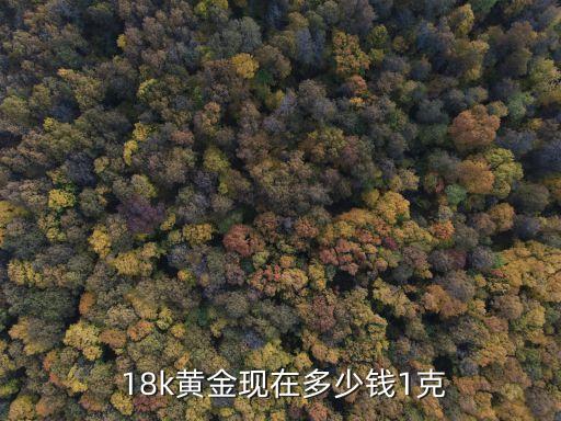  18k黃金現(xiàn)在多少錢(qián)1克