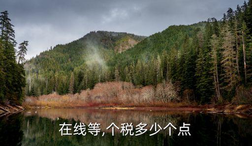 在線等,個(gè)稅多少個(gè)點(diǎn)