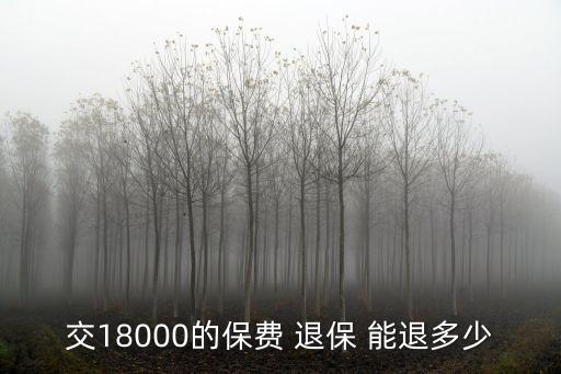 交18000的保費(fèi) 退保 能退多少