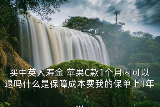 工行推出金蘋果多少克,一個金蘋果大概多少克