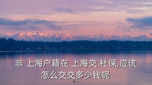 非 上海戶籍在 上海交 社保,應(yīng)該怎么交交多少錢呢