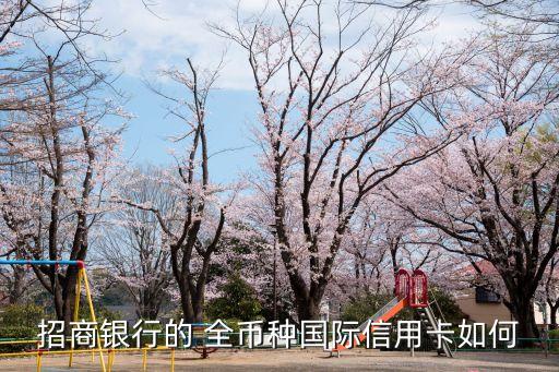 招行全幣卡visa額度是多少錢