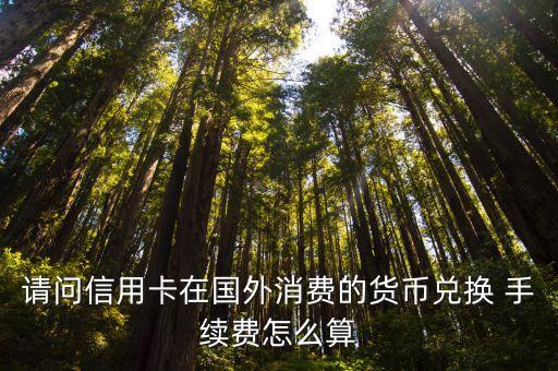 請(qǐng)問(wèn)信用卡在國(guó)外消費(fèi)的貨幣兌換 手續(xù)費(fèi)怎么算