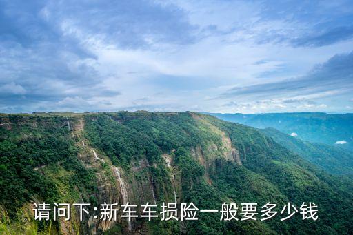 家用機(jī)動(dòng)車 保險(xiǎn)多少錢,機(jī)動(dòng)車損失保險(xiǎn)多少錢一年