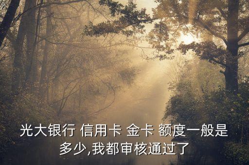 陽(yáng)光卡 信用卡金卡額度是多少,光大銀行陽(yáng)光商旅信用卡金卡額度