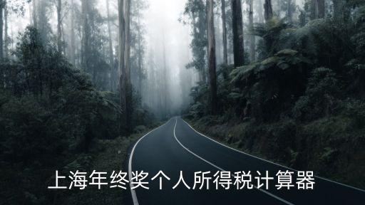 上海年終獎個人所得稅計算器