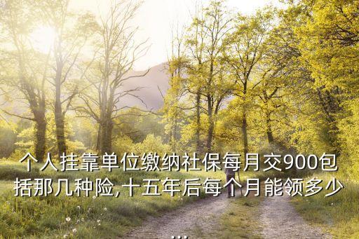 個(gè)人掛靠單位繳納社保每月交900包括那幾種險(xiǎn),十五年后每個(gè)月能領(lǐng)多少...