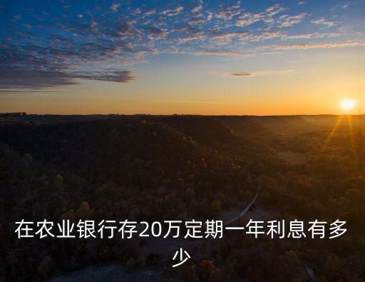 農(nóng)行存1年多少錢啊,農(nóng)行要存多少錢才能變成vip