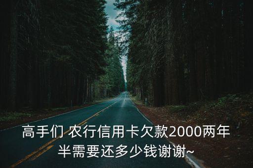 高手們 農(nóng)行信用卡欠款2000兩年半需要還多少錢謝謝~