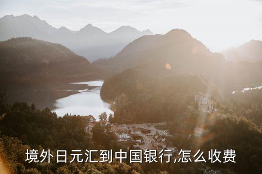 國外向國內(nèi)轉(zhuǎn)賬手續(xù)費是多少,paypal轉(zhuǎn)賬給國外賬戶手續(xù)費