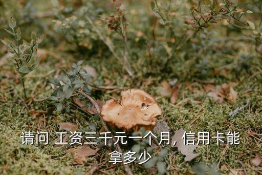請問 工資三千元一個月, 信用卡能拿多少