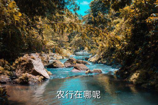 農(nóng)行在哪呢