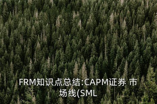 均衡狀態(tài)市場收益率等于多少,資產(chǎn)在市場均衡的條件下的收益率