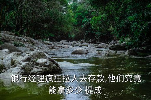銀行行長業(yè)績提成多少,20萬業(yè)績提成2個點(diǎn)是多少