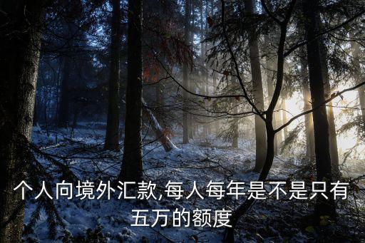銀行結(jié)售匯企業(yè)一年限額多少,企業(yè)結(jié)售匯和銀行結(jié)售匯
