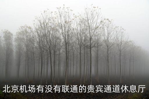 北京機(jī)場有沒有聯(lián)通的貴賓通道休息廳