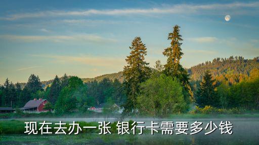 花錢去銀行多少錢,當(dāng)天去銀行可以取多少錢