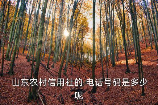 山東農(nóng)商銀行電話號碼是多少錢