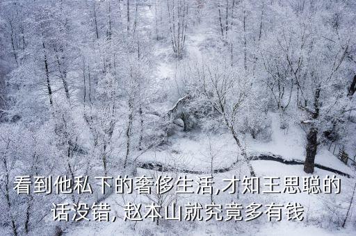 看到他私下的奢侈生活,才知王思聰?shù)脑挍]錯, 趙本山就究竟多有錢
