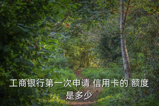工商銀行第一次申請 信用卡的 額度是多少