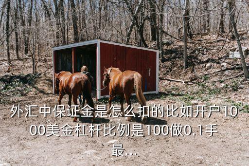 100美元能夠買多少歐元美元合約