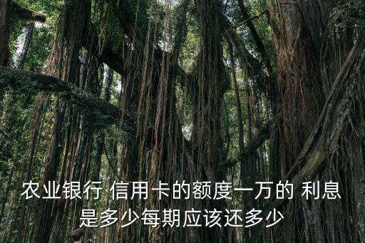 信用卡一期利息多少錢