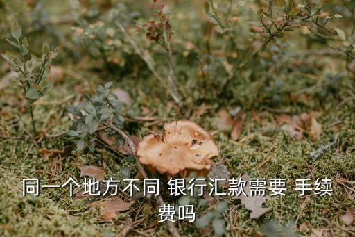同一個地方不同 銀行匯款需要 手續(xù)費(fèi)嗎