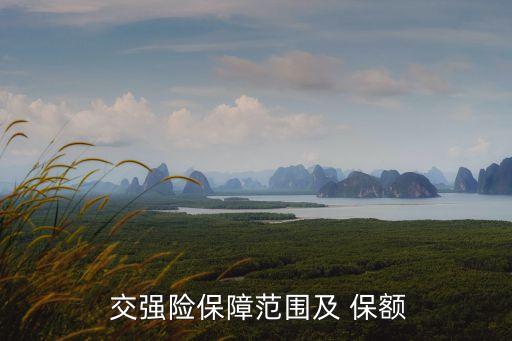  交強險保障范圍及 保額