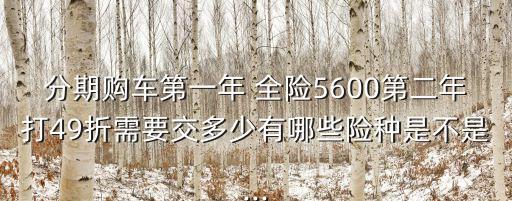 分期購車第一年 全險5600第二年打49折需要交多少有哪些險種是不是...