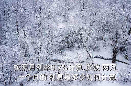 借款兩萬利息是多少,京東金條借款兩萬利息多少