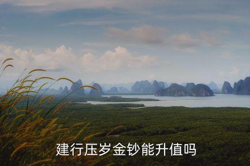  建行壓歲金鈔能升值嗎