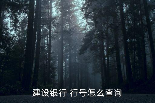 建設(shè)銀行 行號怎么查詢