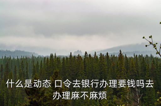 什么是動態(tài) 口令去銀行辦理要錢嗎去辦理麻不麻煩