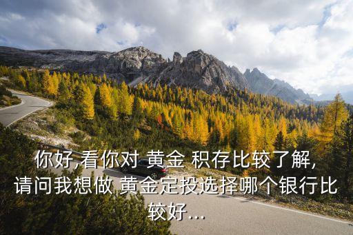 你好,看你對(duì) 黃金 積存比較了解,請(qǐng)問(wèn)我想做 黃金定投選擇哪個(gè)銀行比較好...