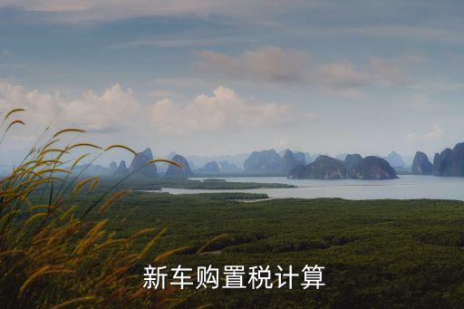 買新車的附加費(fèi)是多少