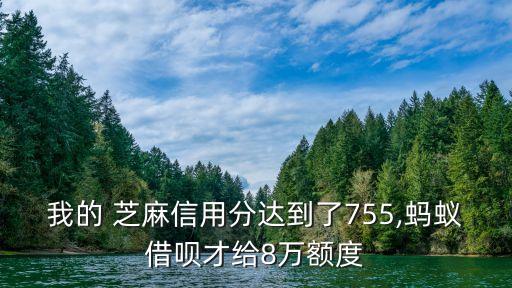 我的 芝麻信用分達(dá)到了755,螞蟻借唄才給8萬(wàn)額度