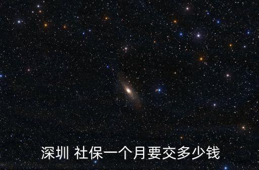 深圳2015社保繳費(fèi)標(biāo)準(zhǔn)是多少,2008年到2015社保繳費(fèi)標(biāo)準(zhǔn)